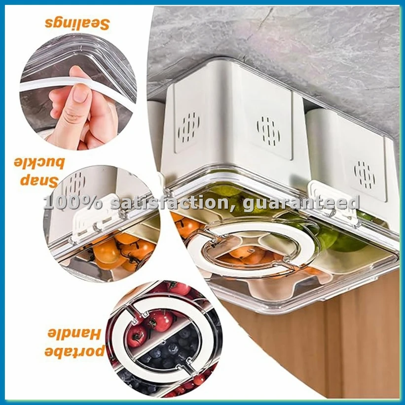Food Snacks Box - صينية فواكه للنزهات الكبيرة، صندوق تخزين